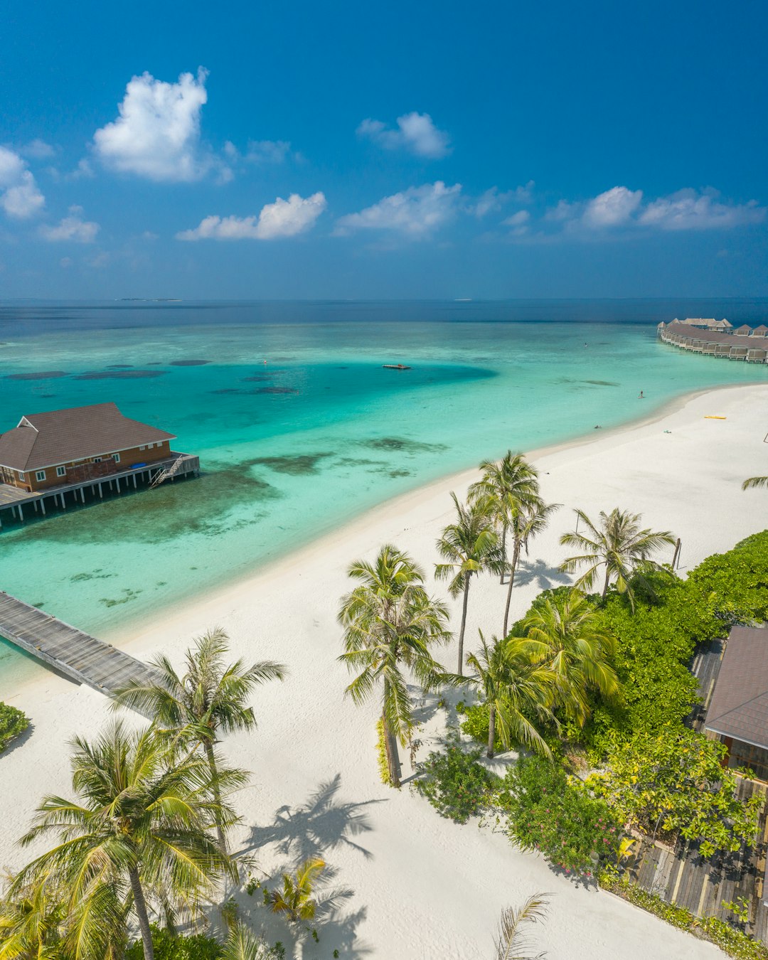 an-aerial-view-of-a-beach-with-a-pier-and-palm-trees-nbu3v-udg6w